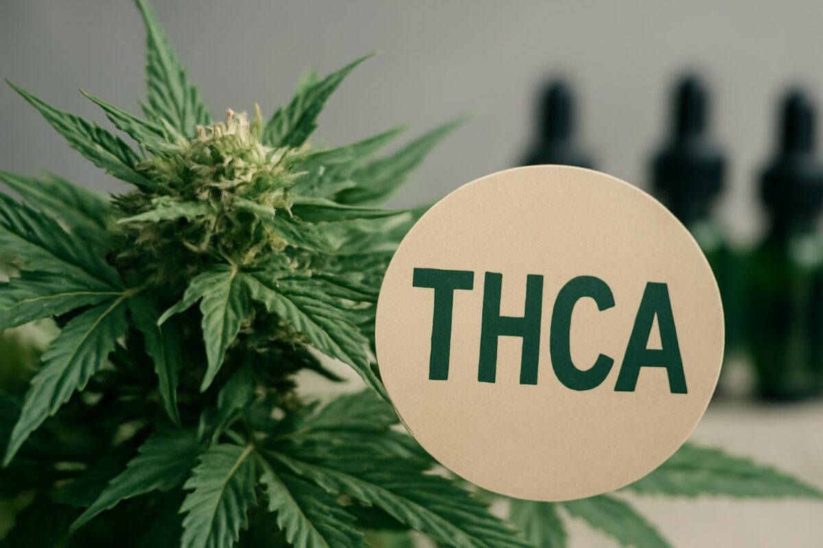 THCA regulation synthetic cannabinoids - THCA Rule Changes and Synthetic Cannabinoid Confusion: What Consumers Should Know