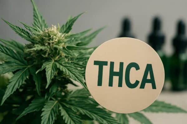 THCA regulation synthetic cannabinoids - THCA Rule Changes and Synthetic Cannabinoid Confusion: What Consumers Should Know